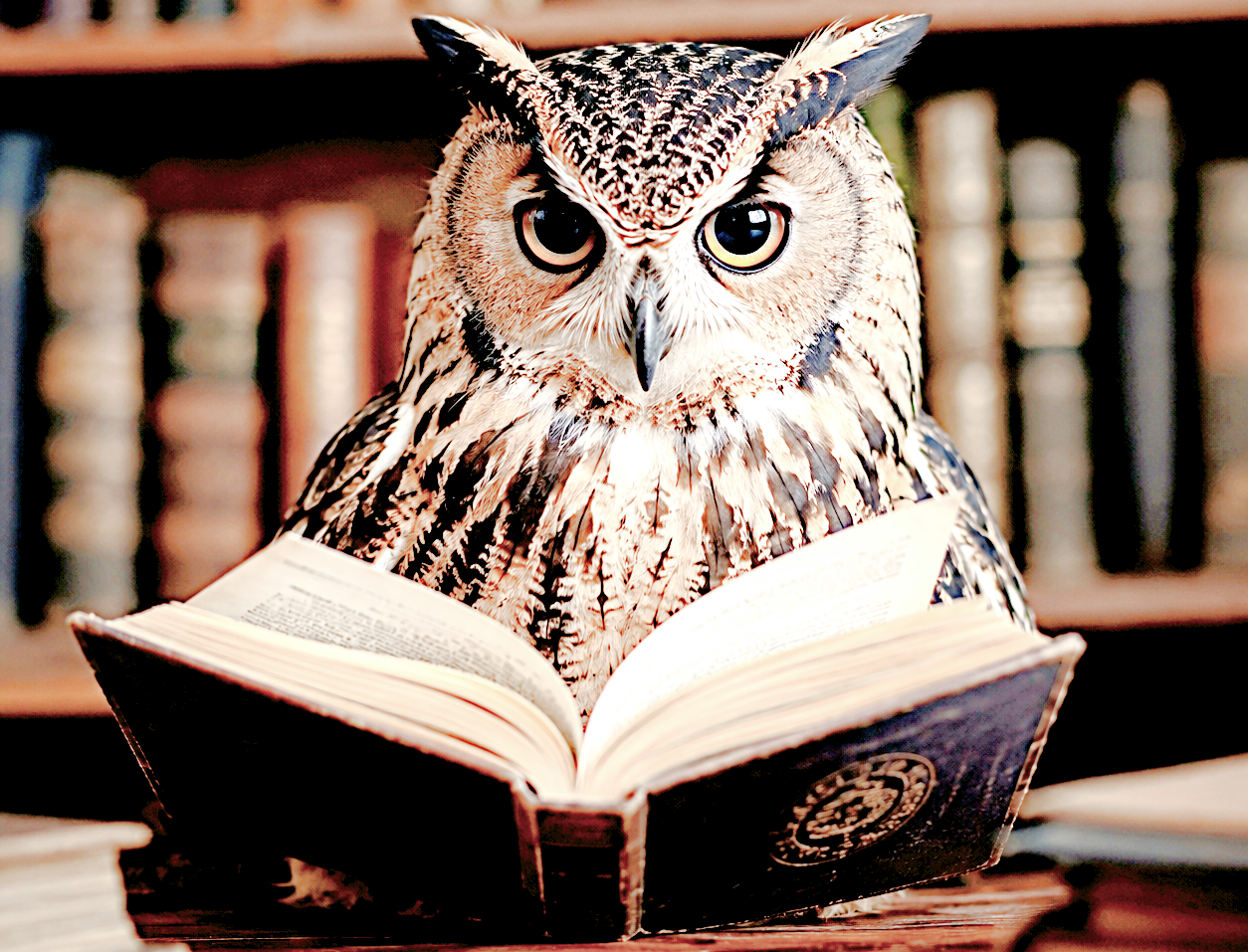 ВІДКРИТА КНИГА 