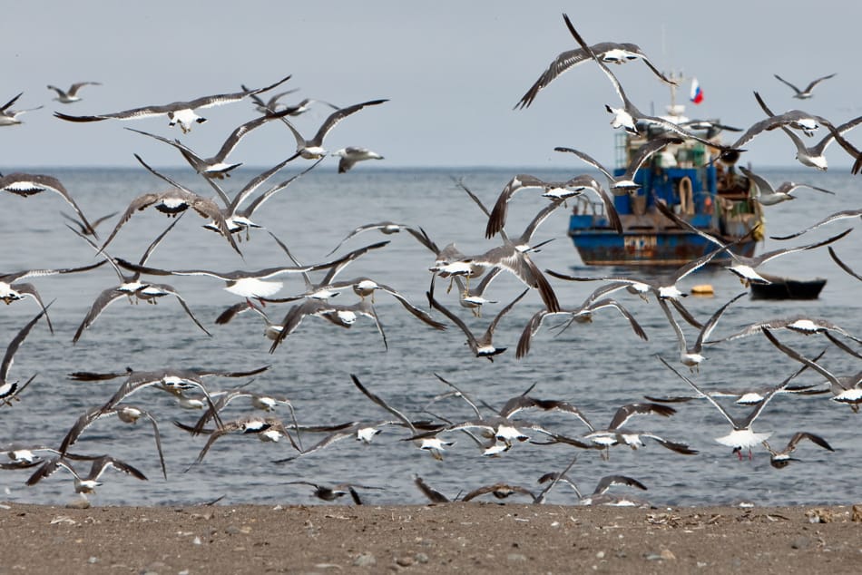 Гвинт, який не хотів крутитися