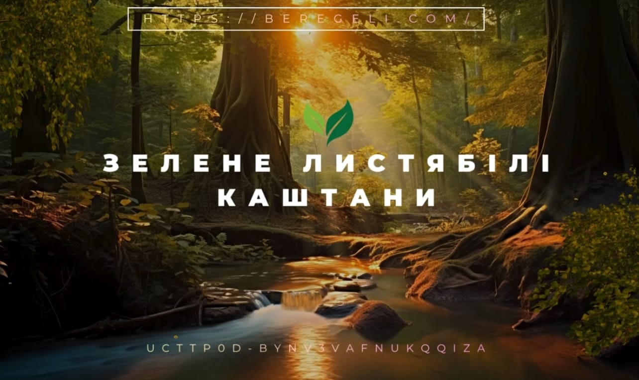Зелене листя білі каштани