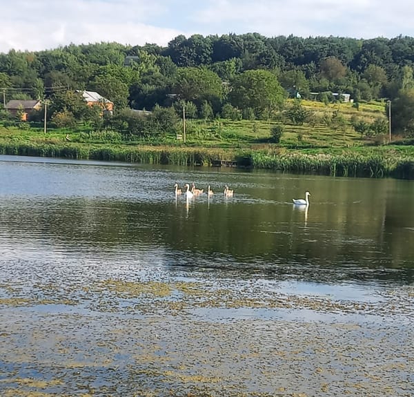 ГОРБ НАД РІЧКОЮ